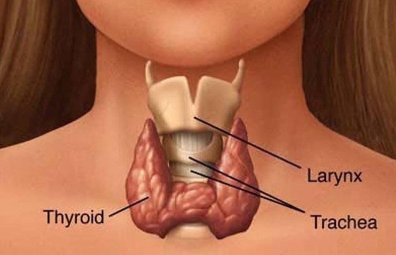 Thyroid Problem