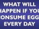 What Will Happen If You Consume Eggs Every Day