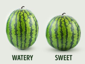 5 Key Tips To Pick The Perfect Watermelon