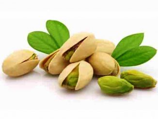 WHY YOU SHOULD START EATING MORE PISTACHIOS?