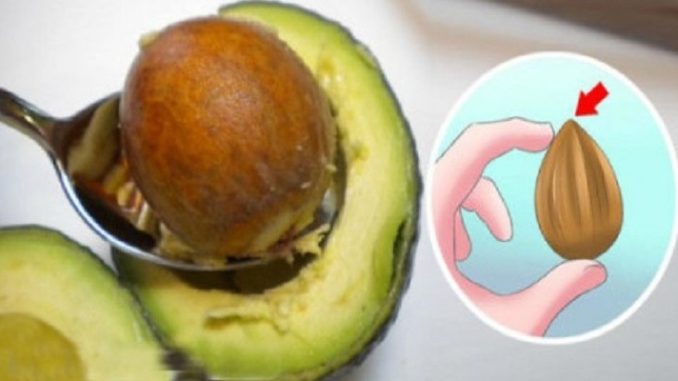 Avocado Avocado