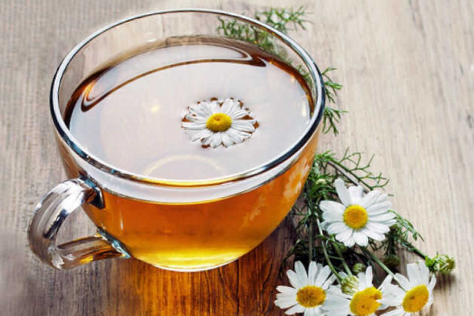 chamomile infusion