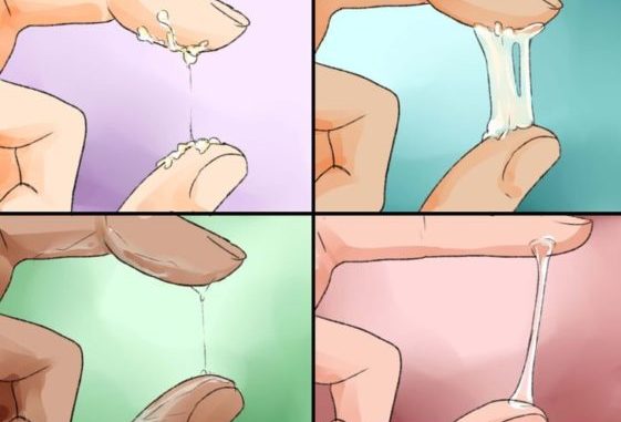 cervical-mucus-561x421