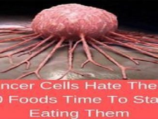 Cancer Cells Hate These 10 Foods Time To Start Eating Them