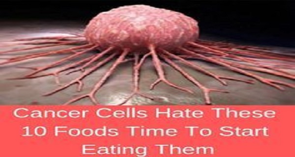 Cancer Cells Hate These 10 Foods Time To Start Eating Them Cancer Cells Hate These 10 Foods Time To Start Eating Them