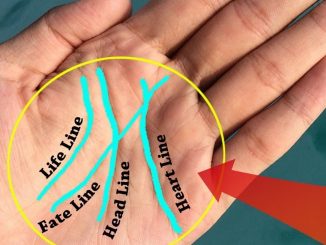 If You Have A Letter ‘M’ On The Palm Of Your Hand, THIS Is What It Means