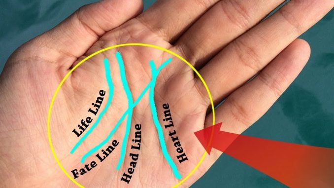 If You Have A Letter ‘M’ On The Palm Of Your Hand, THIS Is What It Means