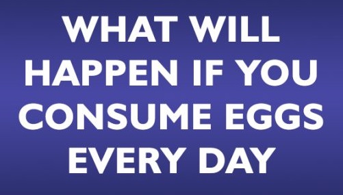 What Will Happen If You Consume Eggs Every Day What Will Happen If You Consume Eggs Every Day