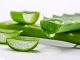 What Aloe Vera Does in Your Body: Why Egyptians Called It the Plant of Immortality