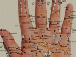 EVERY BODY PART IS IN THE PALM OF YOUR HAND – PRESS THE POINTS FOR WHEREVER YOU HAVE PAIN READ