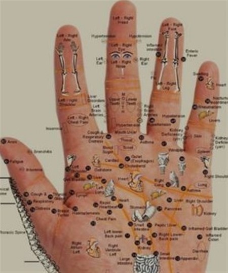 EVERY BODY PART IS IN THE PALM OF YOUR HAND – PRESS THE POINTS FOR WHEREVER YOU HAVE PAIN READ
