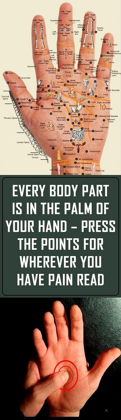 EVERY-BODY-PART-IS-IN-THE-PALM-OF-YOUR-HAND-–-PRESS-THE-POINTS-FOR-WHEREVER-YOU-HAVE-PAIN-READ