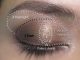 20 Easy Step By Step Eyeshadow Tutorials for Beginners