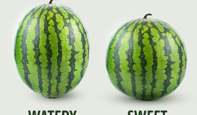 5 Key Tips To Pick The Perfect Watermelon