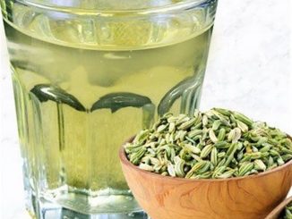 Let’s Know The Fennel Seeds Benefits for Weight Loss and Overall Health!