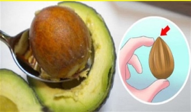 You Will Never Think Of Throwing Avocado Seeds Again After you know This