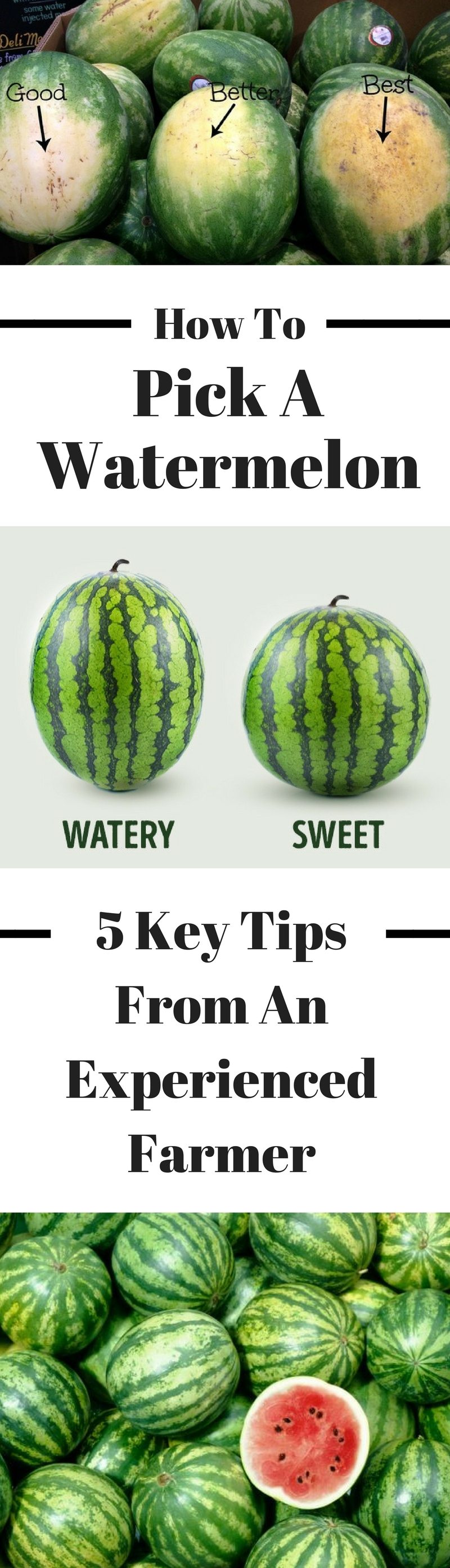 how-to-pick-the-best-watermelon-pinterest
