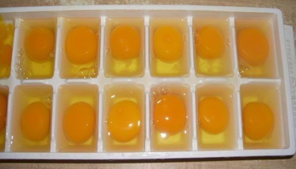 She Put Exactly 14 Eggs In Ice Cube Tray & Left It In The Freezer For 2 Hours. When She Saw What Happened Next She Decided To Do The Same Thing Every Day