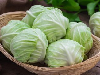 10 Excellent Reasons To Start Eating More Cabbage (Number 10 Will Shock You)