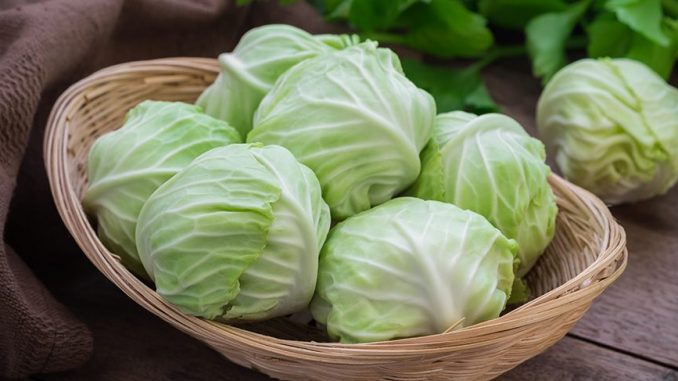 10 Excellent Reasons To Start Eating More Cabbage (Number 10 Will Shock You)