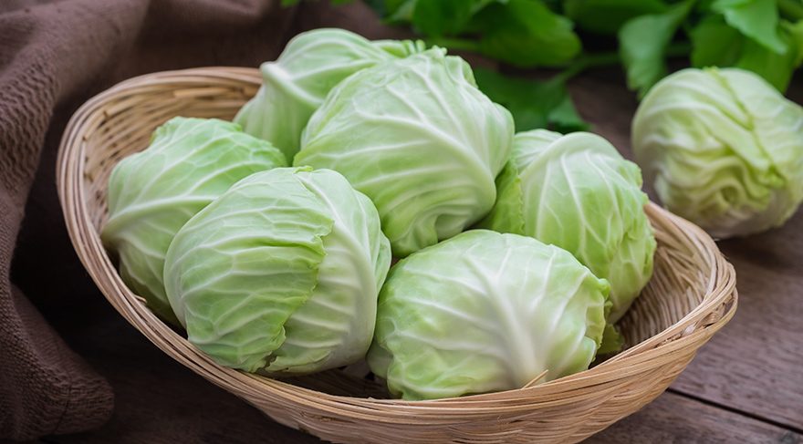 10 Excellent Reasons To Start Eating More Cabbage (Number 10 Will Shock You)