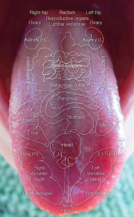 Tongue-Diagnosis-1-1
