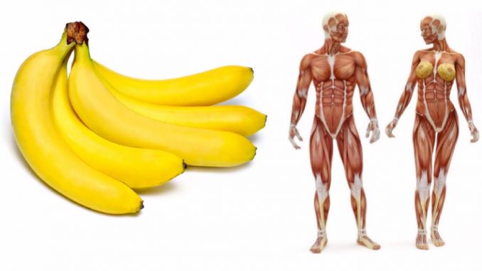 If You Eat 2 Bananas Per Day For A Month, This Is What Happens To Your Body