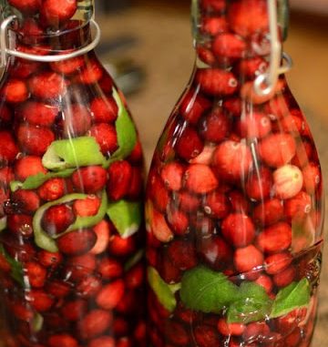 .cranberry lime vodka.