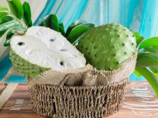 Benefits of graviola