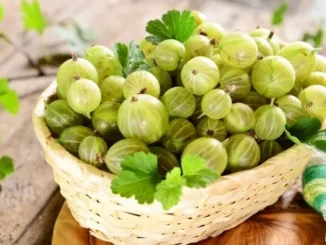 Benefits of gooseberries